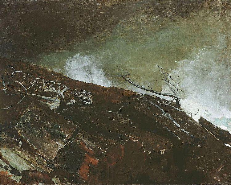 Winslow Homer Coast of Maine Spain oil painting art